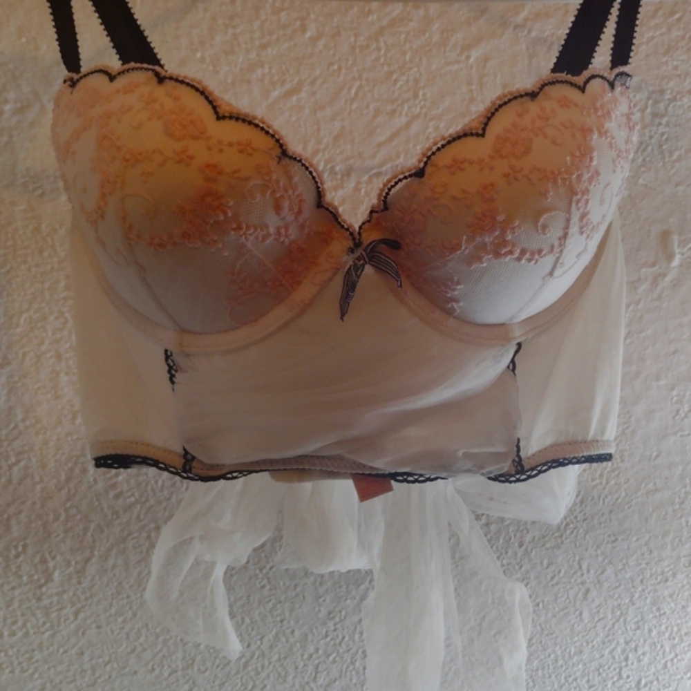 Elegant White and Pink Sheer Bralette